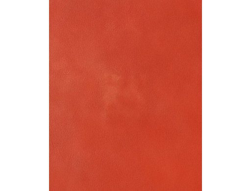 Badigeon d'argile 5kg - Rouge Ventien ARGILUS
