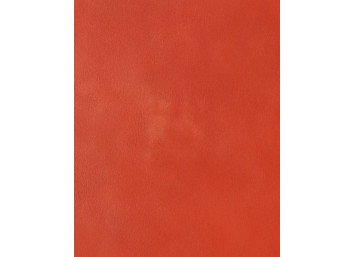 Badigeon d'argile 5kg - Rouge Ventien ARGILUS