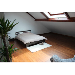 Parquet Bamwood en bambou - ECONOMY BAMBOOTOUCH