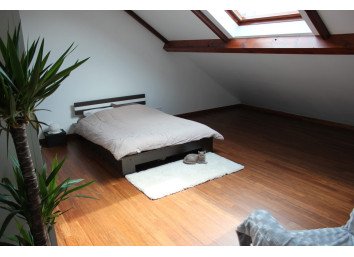 Parquet Bamwood en bambou - ECONOMY BAMBOOTOUCH