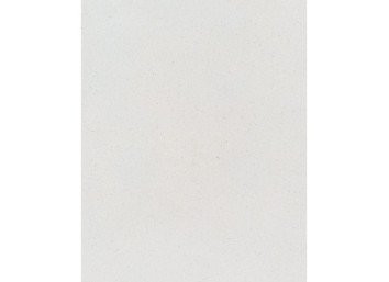 Enduit de finition - Blanc ARGILUS