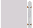 Lasure Classic - N°560 AURO