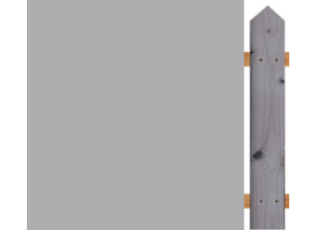 Lasure Fossil - N°560 AURO