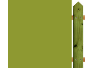 Lasure Avocado - N°560 AURO