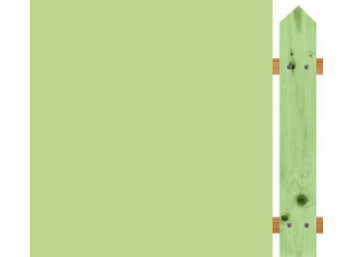 Lasure Grasshopper - N°560 AURO
