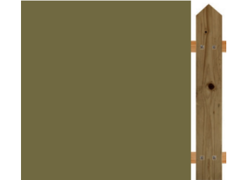 Lasure Botany - N°560 AURO