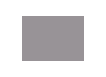 Gris colorés - 024C PRODIROX