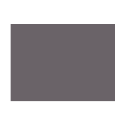 Gris colorés - 024E PRODIROX